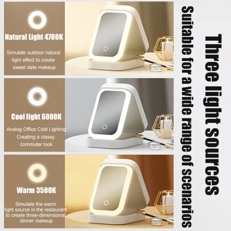 LED Mirror Makeup Storage Box Cosmetics Storage Box Fashion Portable Travel Makeup Bag Simple Makeup Case with Mirror for Woman